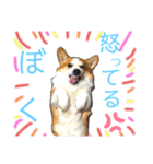 rinabtw111（個別スタンプ：4）