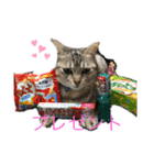 ミーブー（個別スタンプ：7）