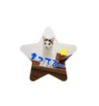 三毛猫つくし（個別スタンプ：3）