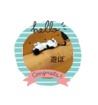 コロすけとみゃーこ（個別スタンプ：2）