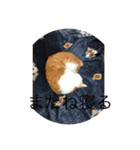 コロすけとみゃーこ（個別スタンプ：7）