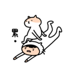 猫になりたい女の子と彼女の猫（個別スタンプ：21）