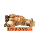 雄介ちゃん＆テンちゃん（個別スタンプ：7）