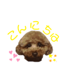 ベルスタ①（個別スタンプ：7）