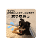 ぶひぶひコタロー（個別スタンプ：7）