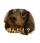 ティト君（個別スタンプ：1）