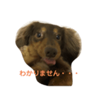 ティト君（個別スタンプ：3）
