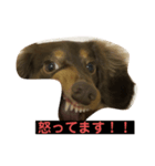 ティト君（個別スタンプ：4）