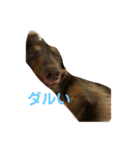 ティト君（個別スタンプ：6）