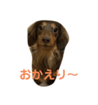 ティト君（個別スタンプ：7）