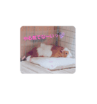 ゆるもる姫子（個別スタンプ：1）