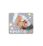 ゆるもる姫子（個別スタンプ：4）