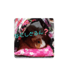 ゆるもる姫子（個別スタンプ：5）