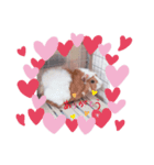 ゆるもる姫子（個別スタンプ：8）