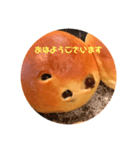 あずき豆モーニングさん（個別スタンプ：1）