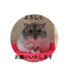 きなこは世界一（個別スタンプ：2）