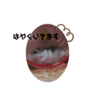きなこは世界一（個別スタンプ：5）