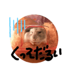 きなこは世界一（個別スタンプ：8）