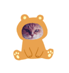 ひまわり一家（個別スタンプ：4）