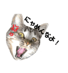 癖の強いねこ（個別スタンプ：3）