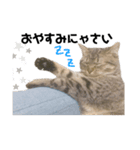 癖の強いねこ（個別スタンプ：8）
