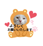 ゴマさんスタンプ（個別スタンプ：2）