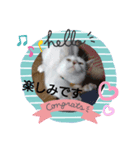 ゴマさんスタンプ（個別スタンプ：6）