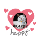 ゴマさんスタンプ（個別スタンプ：8）