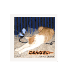 可愛い猫キュンとくる（個別スタンプ：8）