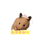 マルお嬢 2（個別スタンプ：1）