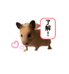 マルお嬢 2（個別スタンプ：6）