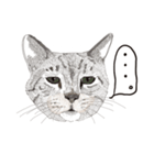 ゆるりおはなしキャット（個別スタンプ：4）