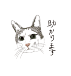 ゆるりおはなしキャット（個別スタンプ：14）