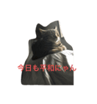 マンチカンのレオ（個別スタンプ：5）