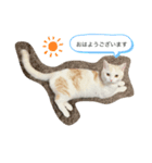 日常会話(REN)（個別スタンプ：2）