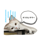 日常会話(REN)（個別スタンプ：8）