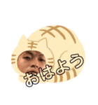 taiga06（個別スタンプ：1）