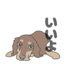イヌたちのふせ！（個別スタンプ：1）