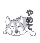 イヌたちのふせ！（個別スタンプ：4）