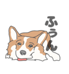 イヌたちのふせ！（個別スタンプ：5）
