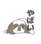 イヌたちのふせ！（個別スタンプ：6）