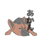 イヌたちのふせ！（個別スタンプ：7）