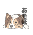 イヌたちのふせ！（個別スタンプ：10）