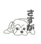 イヌたちのふせ！（個別スタンプ：11）