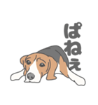 イヌたちのふせ！（個別スタンプ：12）