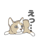イヌたちのふせ！（個別スタンプ：13）