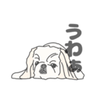 イヌたちのふせ！（個別スタンプ：14）