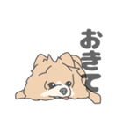 イヌたちのふせ！（個別スタンプ：15）
