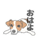 イヌたちのふせ！（個別スタンプ：16）
