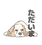 イヌたちのふせ！（個別スタンプ：17）